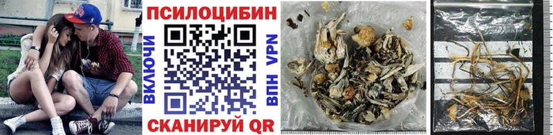 Купить  Кола  Галлюциногенные грибы GOLDEN TEACHER 