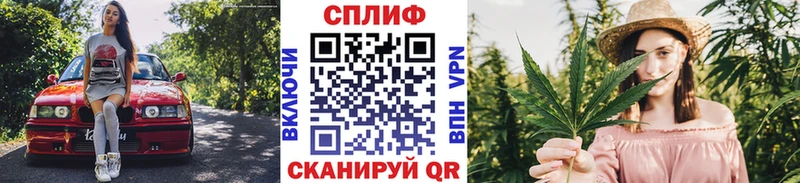Канабис Amnesia  Купить  Кола 